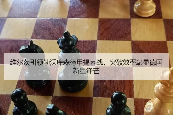 wei-er-ci-yin-ling-lei-wo-ku-sen-de-jia-jie-mu-zhan-tu-po-xiao-lv-zhang-xian-de-guo-xin-xing-feng-mang-2-897.jpg