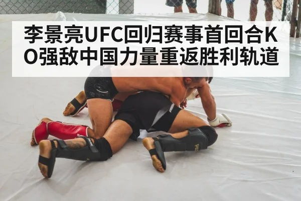 mixed martial arts fight
