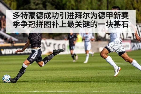 多特蒙德成功引进拜尔为德甲新赛季争冠拼图补上最关键的一块基石